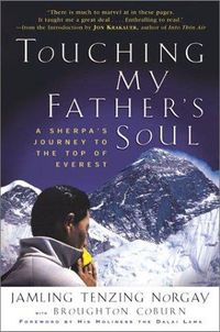 Cover of Touching My Father's Soul